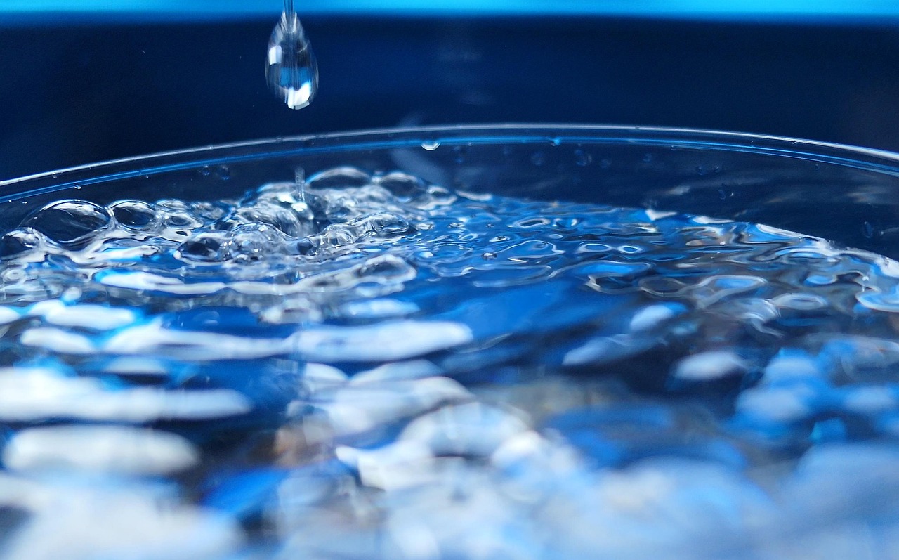 Agua
